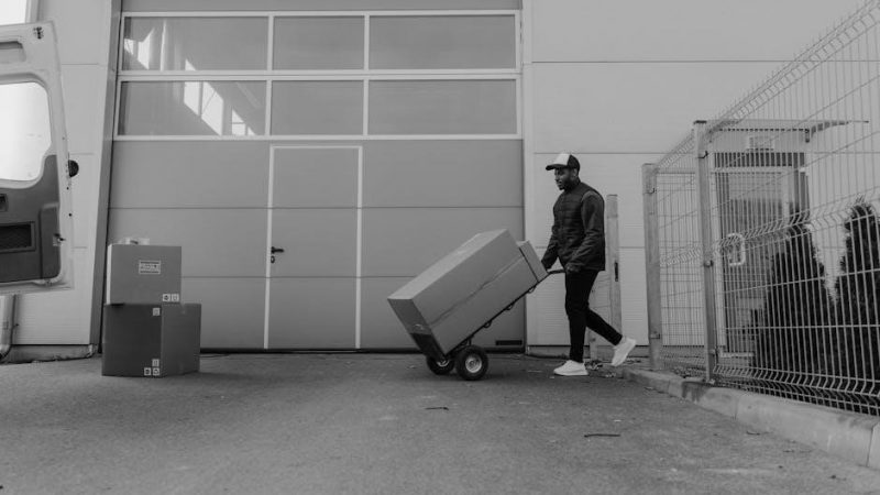 odyssey 1000 garage door opener manual