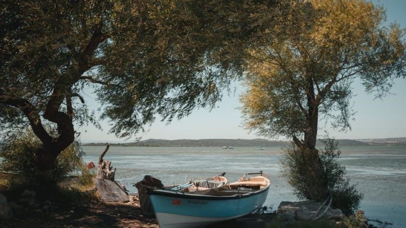 boat guides for boat trailer